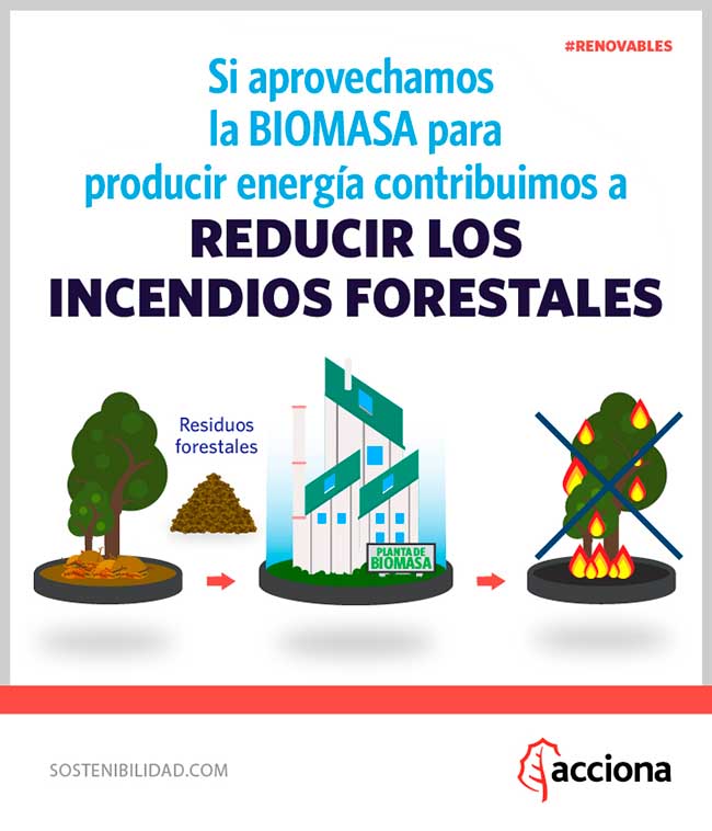 Si aprovechamos la BIOMASA para producir energía contribuimos a reducir los incendios forestales