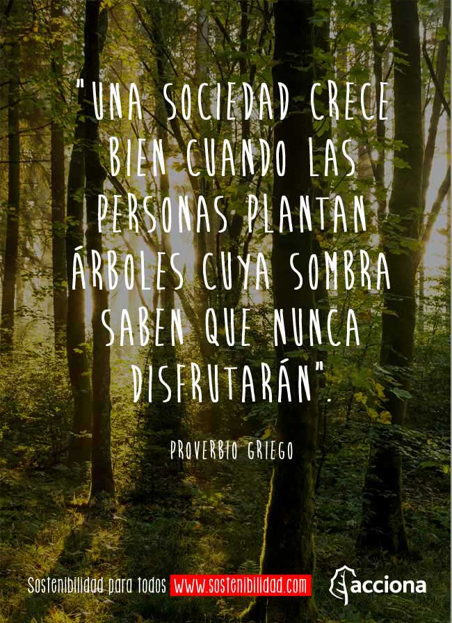 Los griegos, la sociedad y los árboles