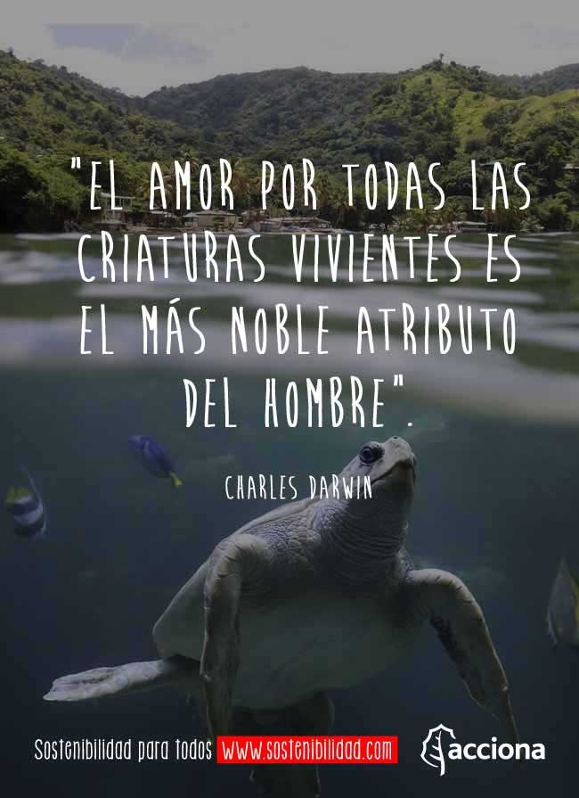 Charles Darwin y el amor por los animales