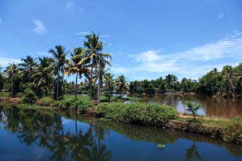 La costa de Kerala, en el sudoeste de la India