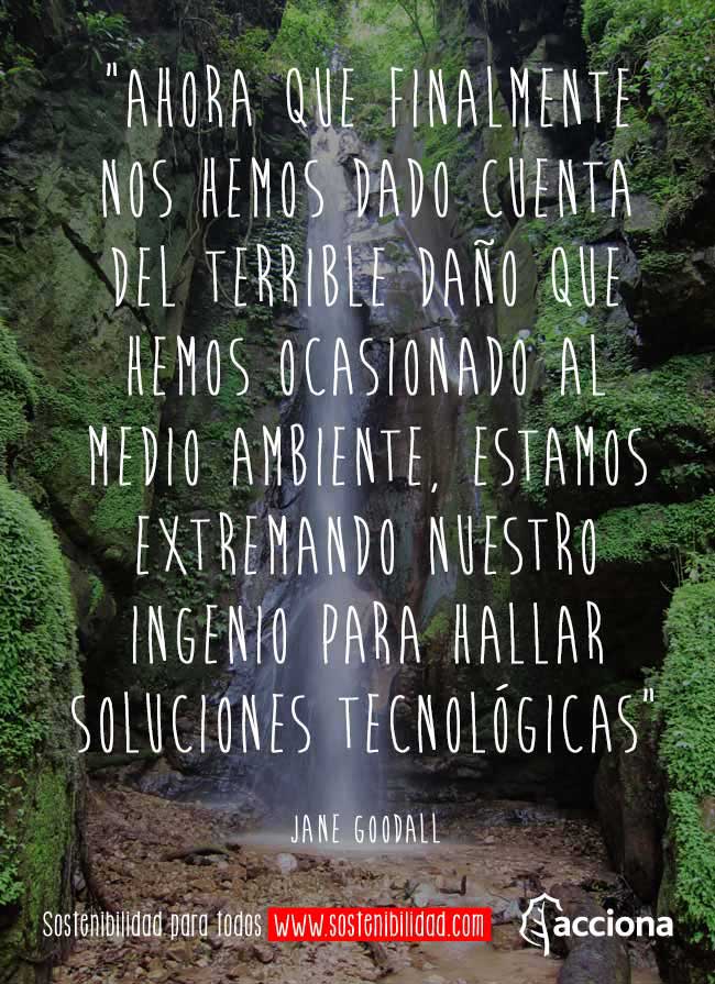 Jane Goodall y el medio ambiente