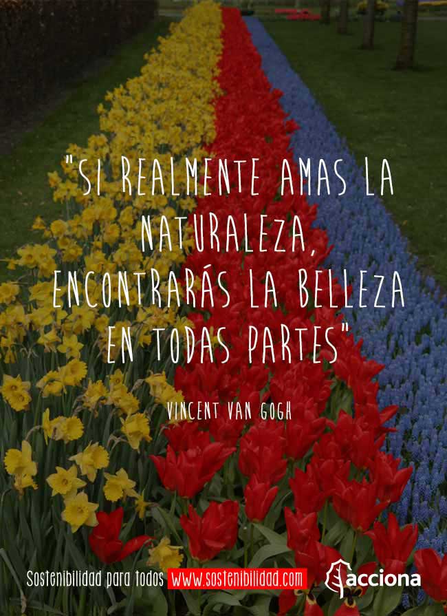 Van Gogh y la naturaleza