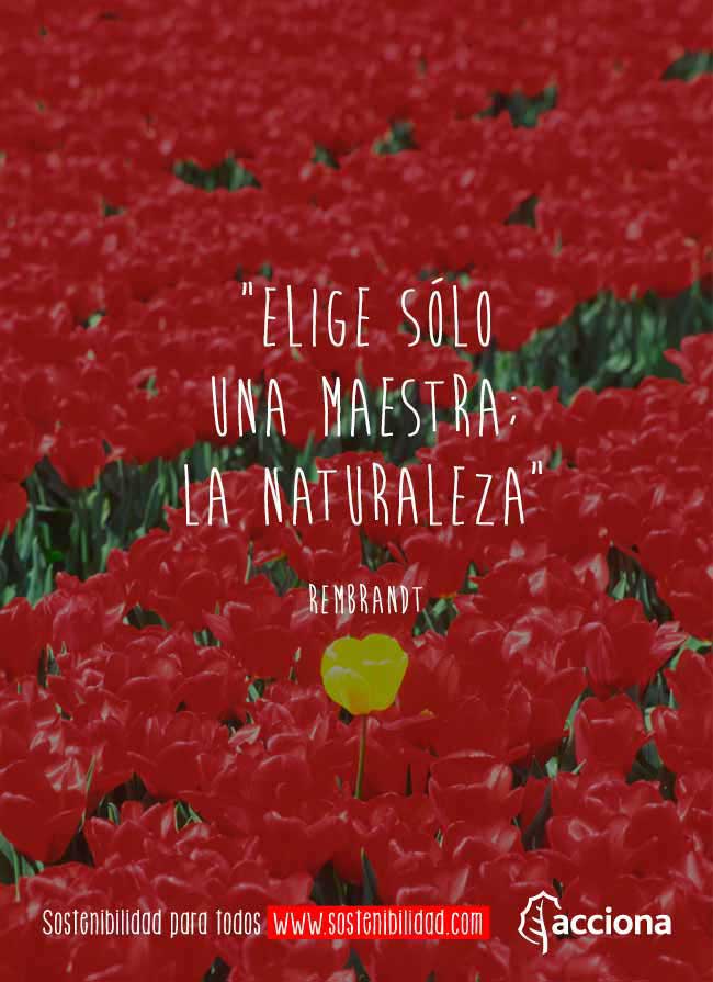 Rembrandt y la única maestra