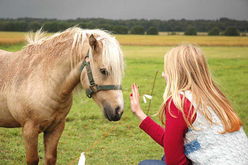 Una educación para el desarrollo sostenible