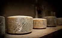 Elaborar un queso curado 1 kg genera 12 kg de CO2