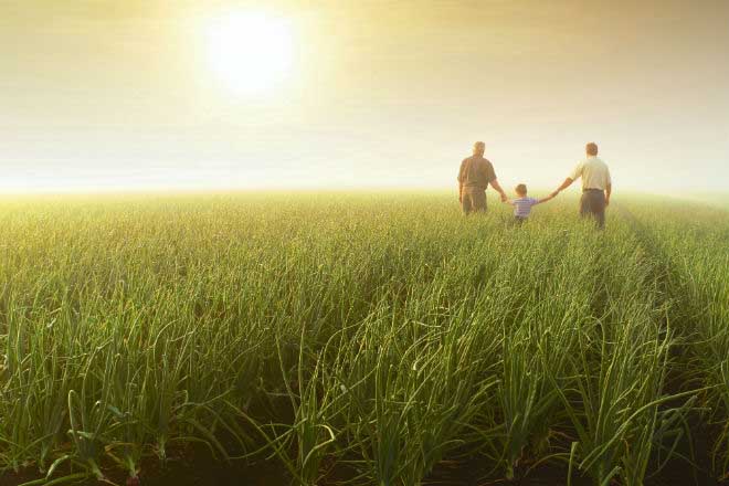 El modelo actual es insostenible