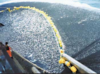 Pesca de arrastre, tipo de pesca destructiva