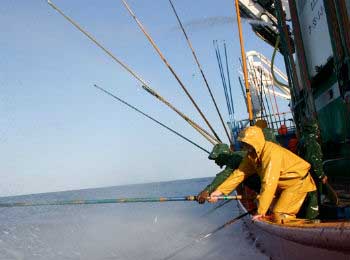 Pesca sostenible o pesca tradicional