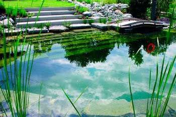 Piscina sostenible