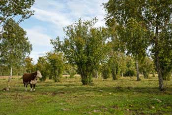 Hay que proteger y conservar los recursos naturales