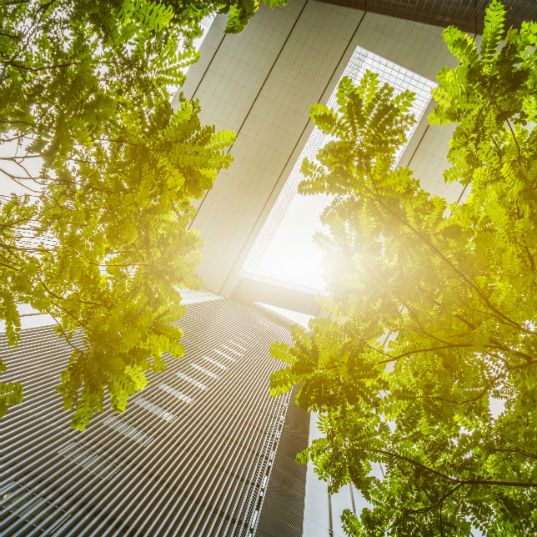 Tendencias en energías renovables, construcción y agua