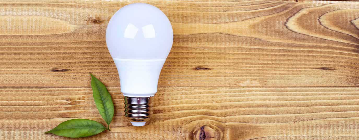 de madera Diploma enviar Bombillas LED vs. bombillas de bajo consumo