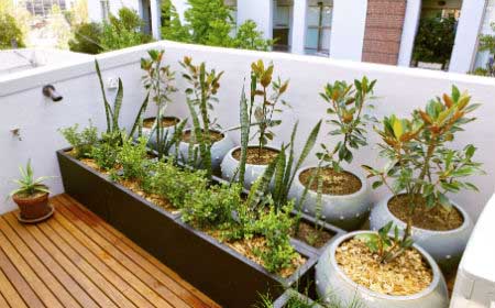 Aprovecha la terraza para tener tu propio huerto urbano