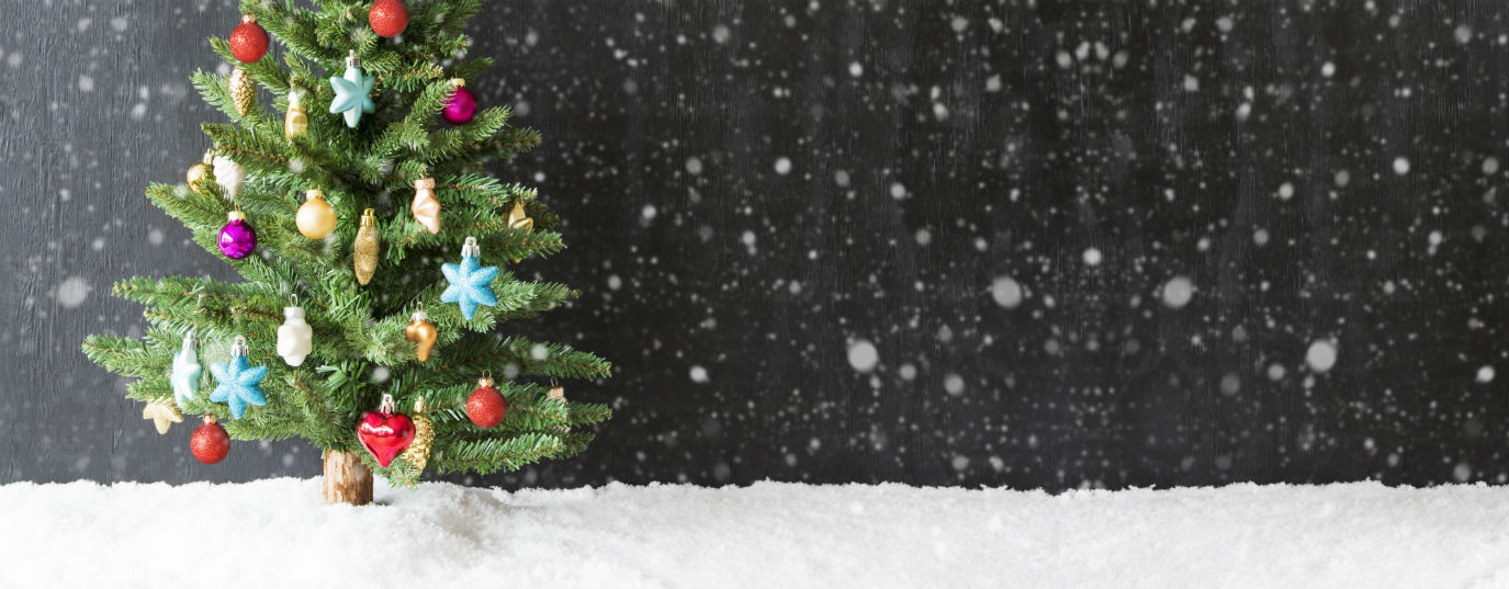 Huella de carbono: ¿Mejor árbol de Navidad natural o de plástico?