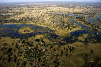 Delta del río Okavango en Botswana (África)