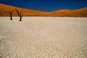 Contra la desertificación: recuperemos la tierra