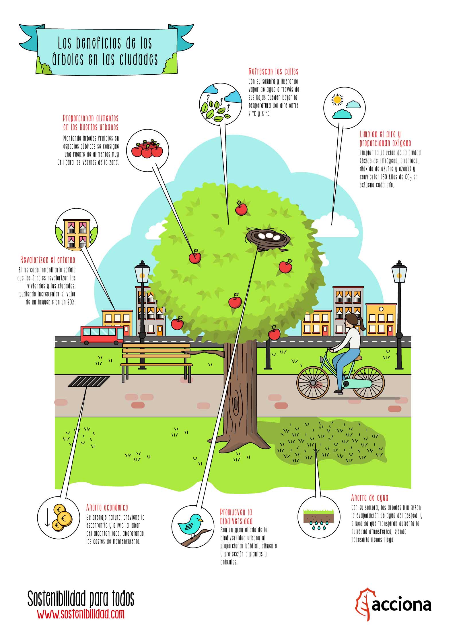 Details 48 beneficios de los árboles en la ciudad