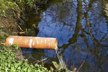 Los vertidos contaminantes son de los delitos ambientales más comunes
