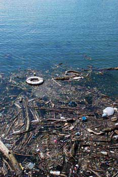 Los desechos terrestres ponen en riesgo la vida acuática