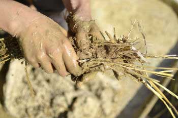Las fibras vegetales mezcladas con cemento actúan como aislante