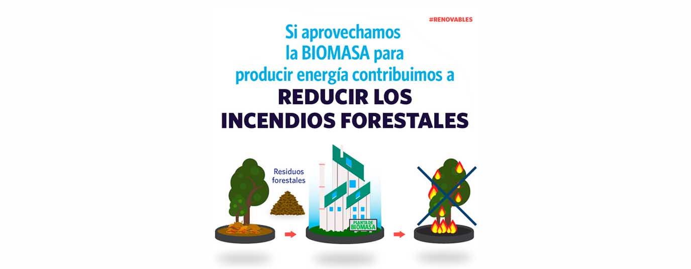 Ventajas de la biomasa