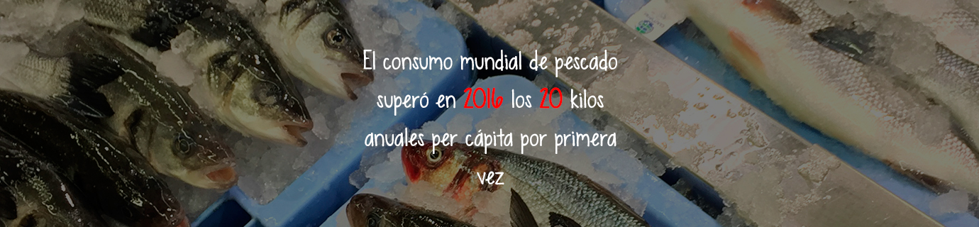 #AprendeSostenibilidad: Consumo global de pescado
