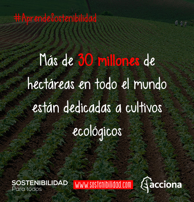#AprendeSostenibilidad: Cultivos ecológicos