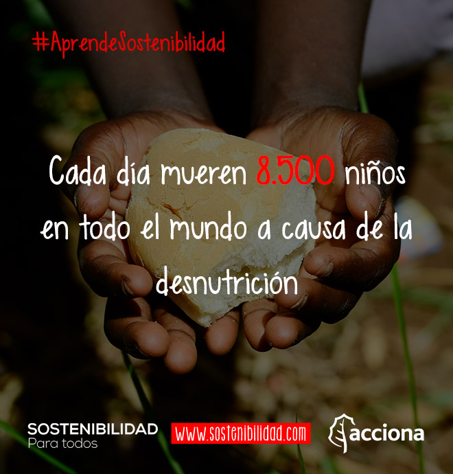 #AprendeSostenibilidad: Muerte infantil por desnutrición