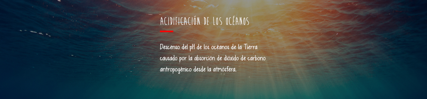 #AprendeSostenibilidad: Acidificación de los océanos
