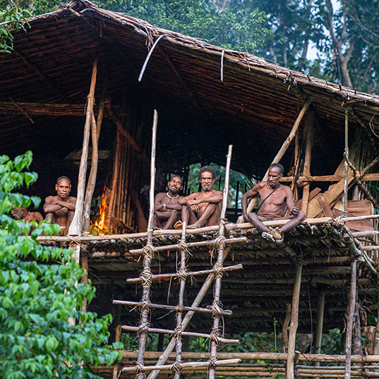 tribu korowai en sus casas de madera en los arboles