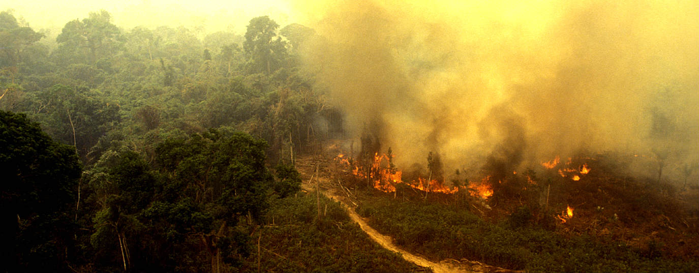 Los otros Amazonas que también arden