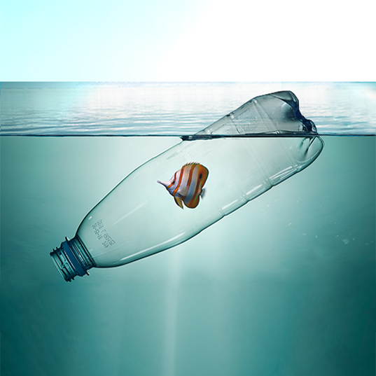 Navegar entre plásticos: la salud de los océanos a la deriva