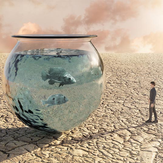 Los retos de la escasez de agua ante la crisis climática: problemas y soluciones 